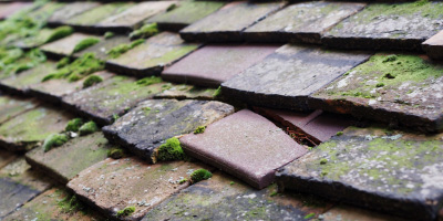 Earith roof repair costs